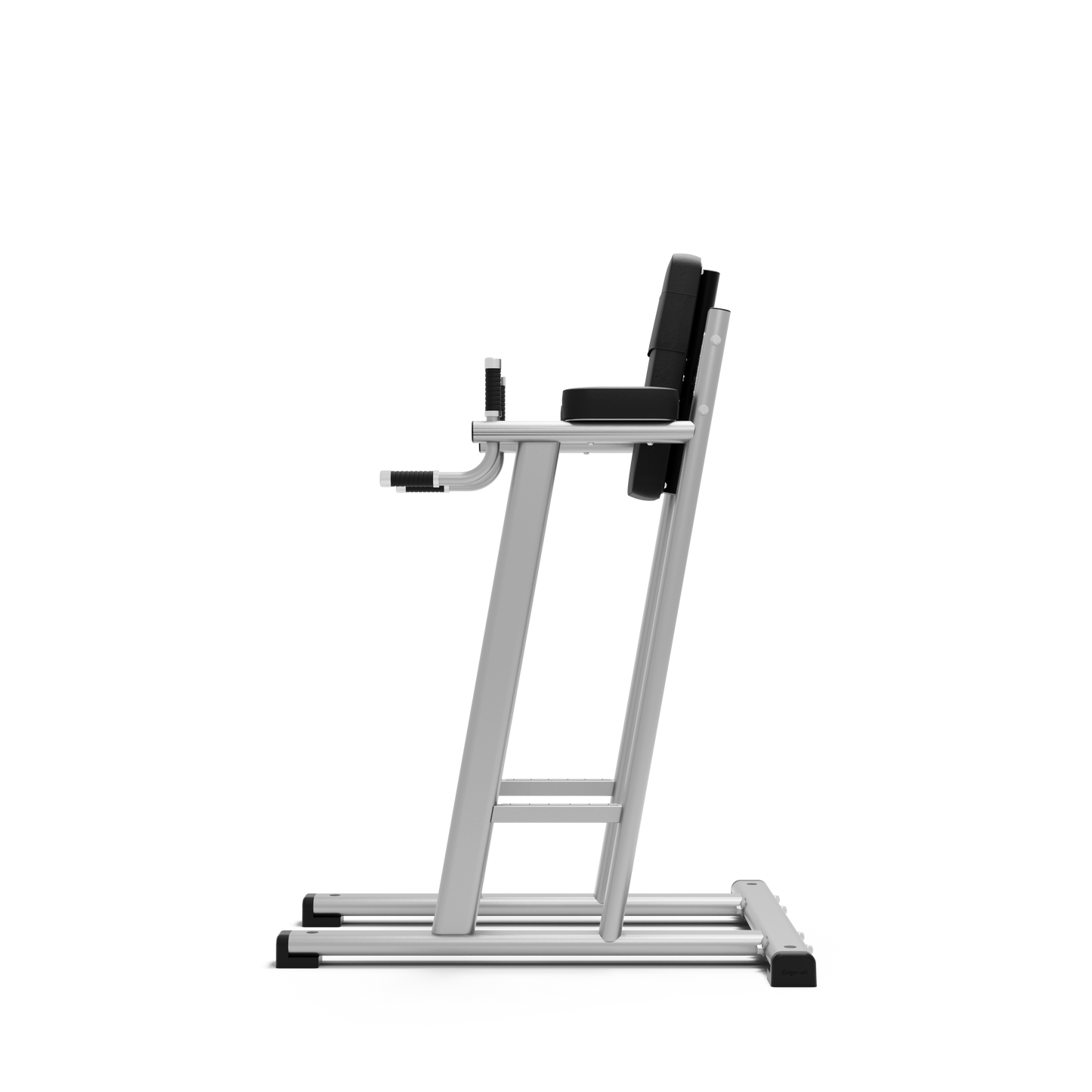 Exigo® Leg Raise / Dip Station