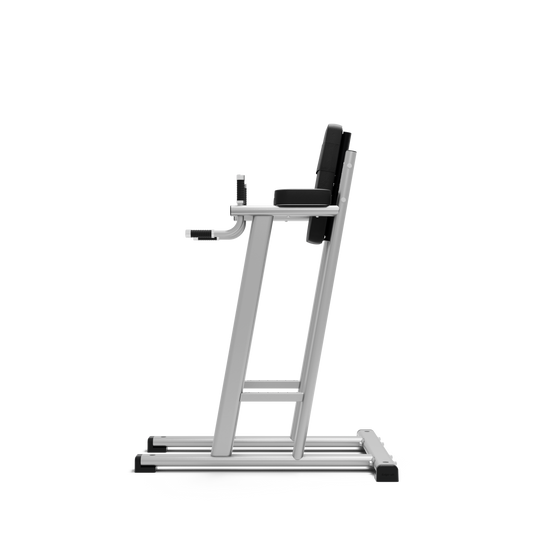 Exigo® Leg Raise / Dip Station