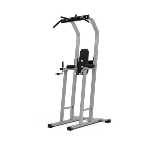Exigo® Chin / Dip / Leg Raise Station