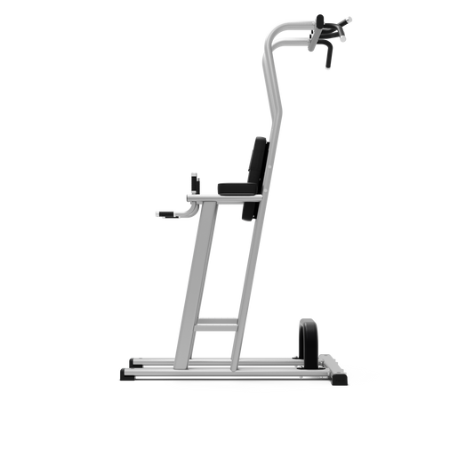 Exigo® Rear Chin / Dip / Leg Raise Station