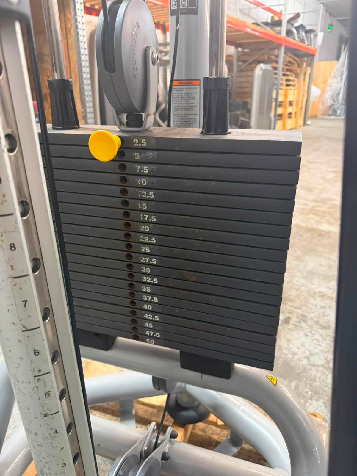 Technogym Adjustable Hi / Lo Pulley