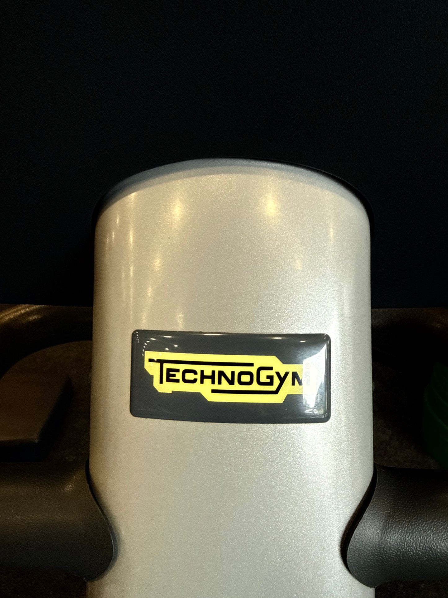 Technogym 700 recumbent LED recline