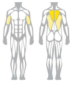 Technogym Selection 700 Low Row Meteor Black