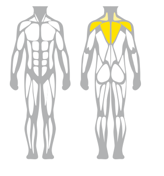 Technogym Selection 700 Dual Pectoral/ Reverse Fly Meteor Black