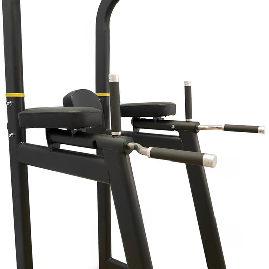Commercial Vertical Knee Raise / Chin Dip Frame (VKR)
