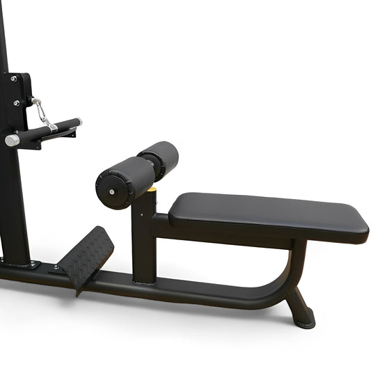 Dual Series Commercial Lat Pulldown / Low Row