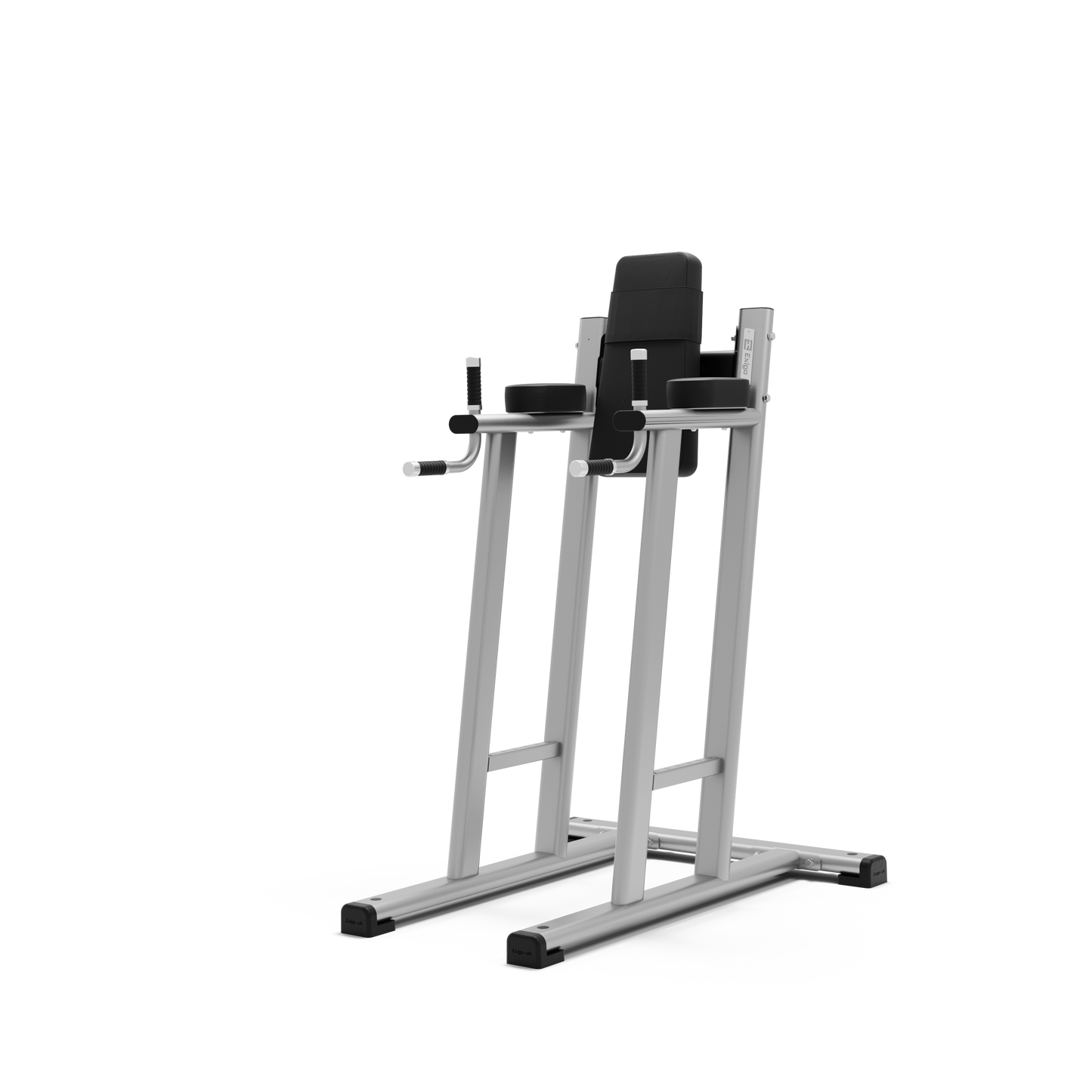 Exigo®  Leg Raise / Dip Station