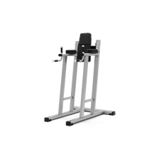 Exigo®  Leg Raise / Dip Station