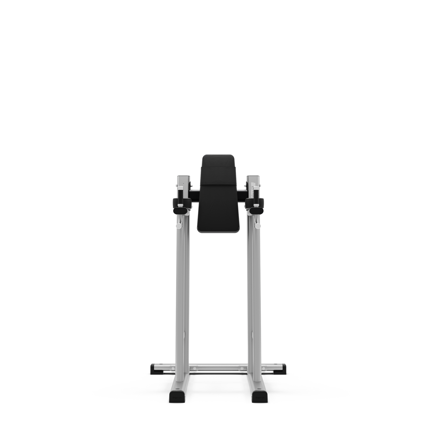 Exigo®  Leg Raise / Dip Station