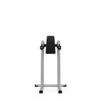 Exigo®  Leg Raise / Dip Station