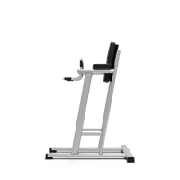 Exigo®  Leg Raise / Dip Station