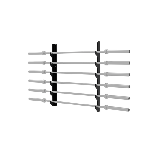Exigo®  6 Bar Horizontal Gun Rack