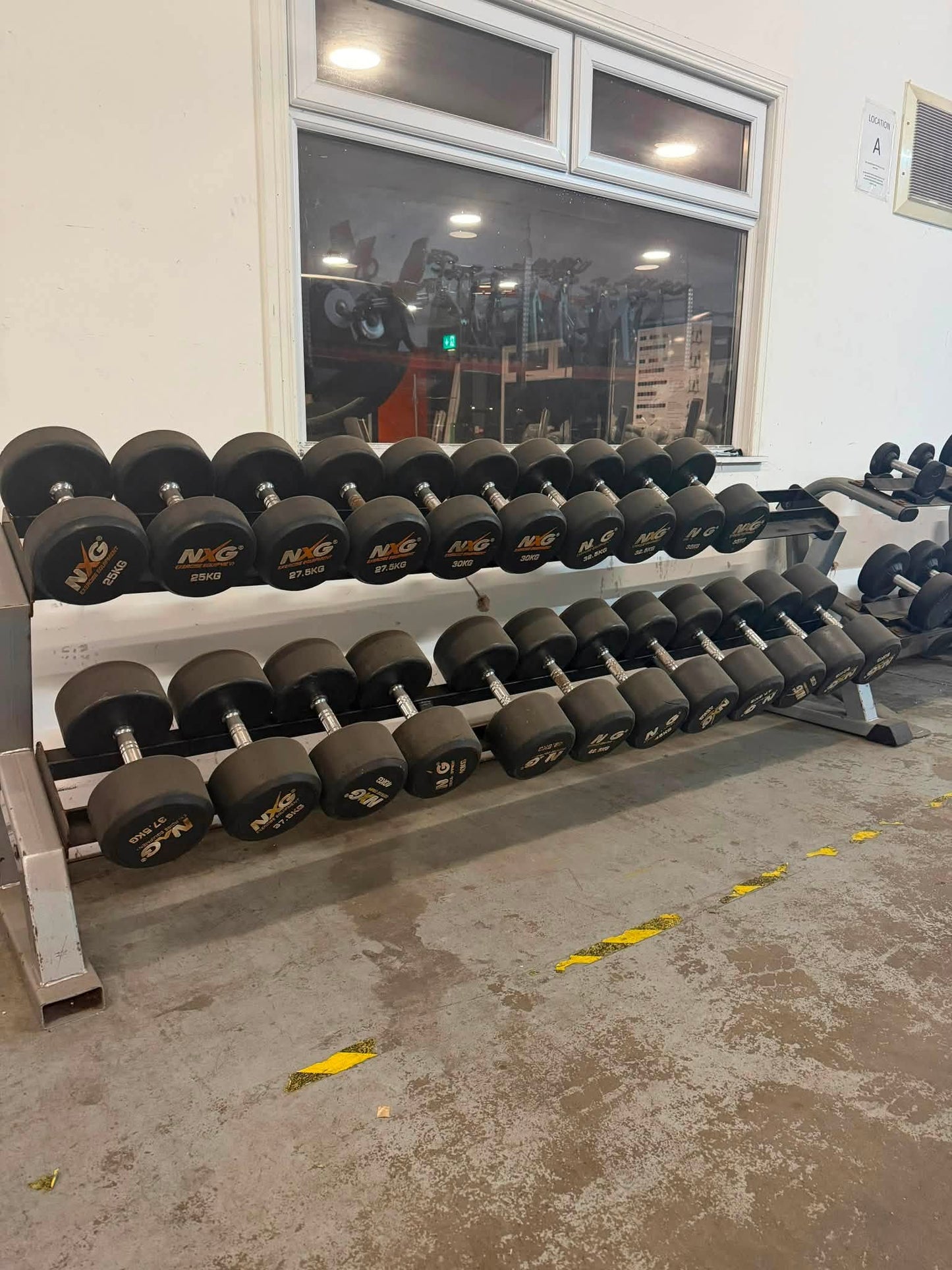 NXG Dumbbell Set 5kg–50kg + Storage Rack