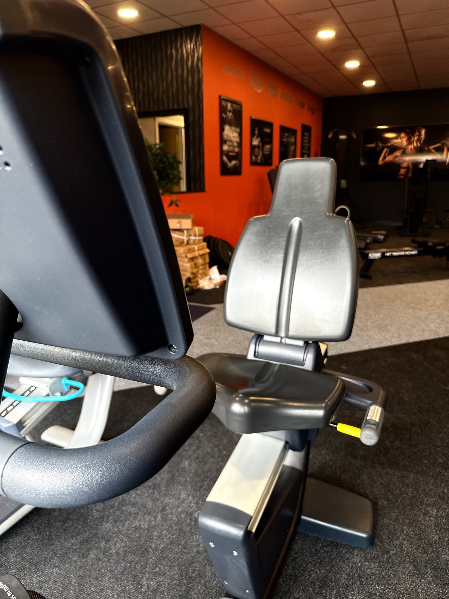 Technogym 1000 LED Recumbent