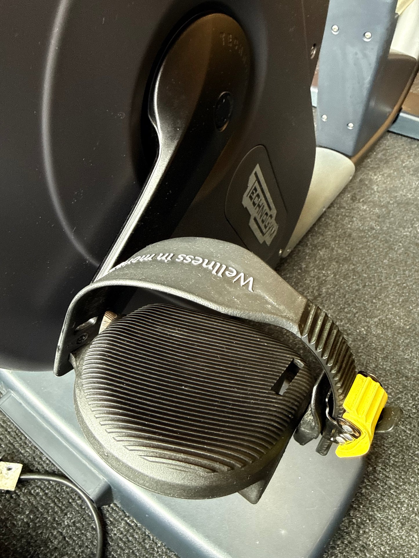 Technogym 1000 LED Recumbent