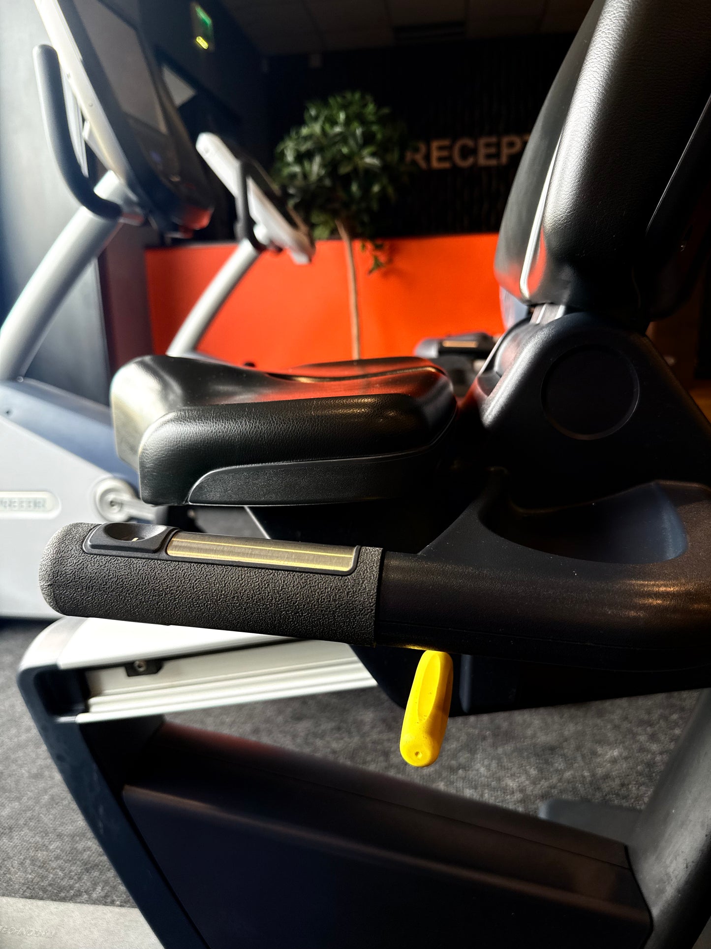 Technogym 1000 LED Recumbent
